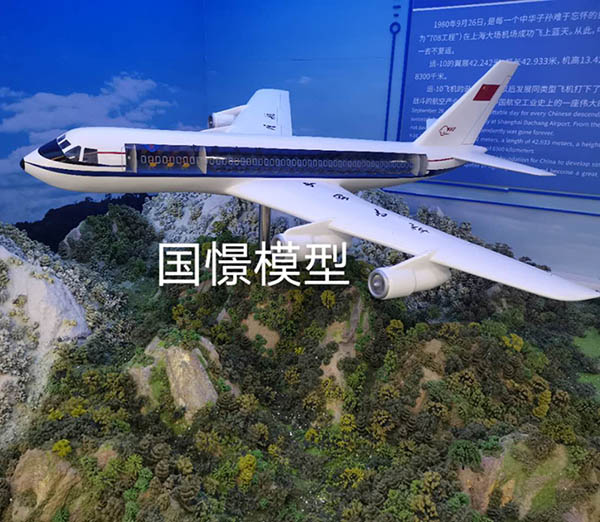 仁寿县飞机模型