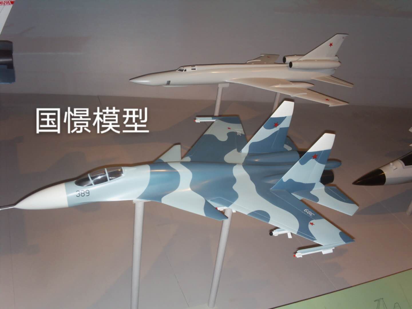 仁寿县军事模型